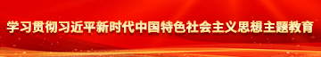 好屌插学习贯彻习近平新时代中国特色社会主义思想主题教育